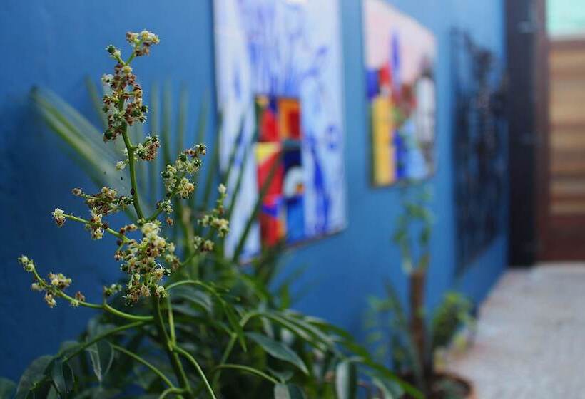 בית מלון כפרי Green 53 Boutique