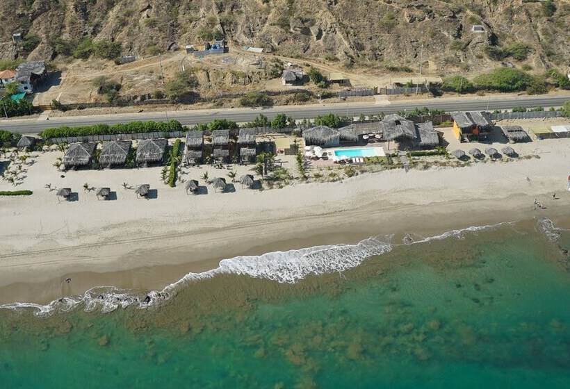 ホテル Hoja De Palma Bungalows