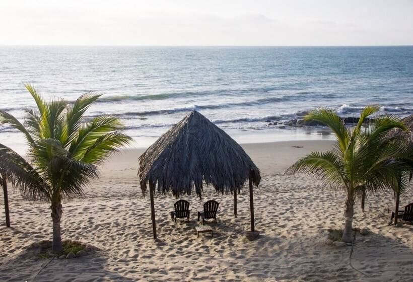 ホテル Hoja De Palma Bungalows