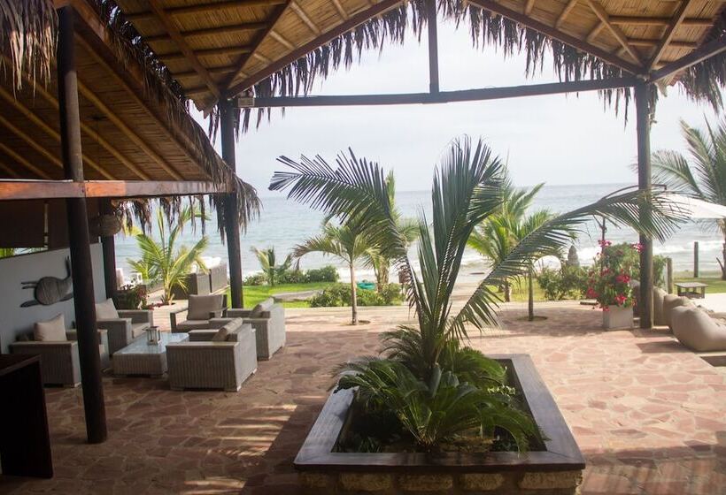 ホテル Hoja De Palma Bungalows