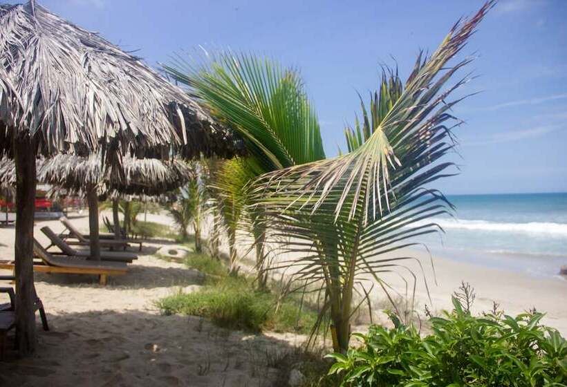 ホテル Hoja De Palma Bungalows