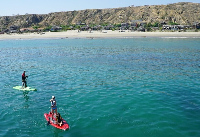 ホテル Hoja De Palma Bungalows