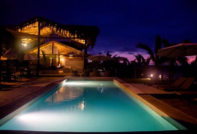 ホテル Hoja De Palma Bungalows