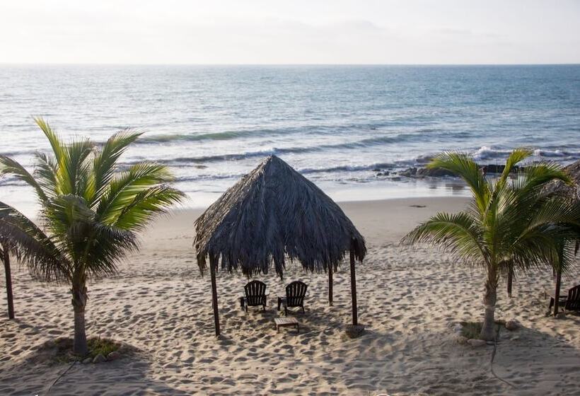 ホテル Hoja De Palma Bungalows