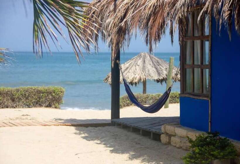 ホテル Hoja De Palma Bungalows