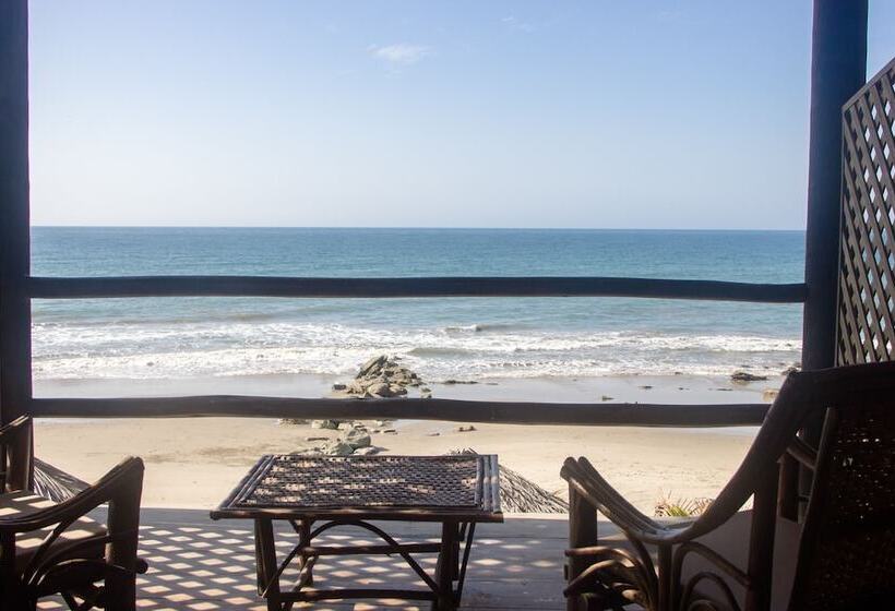 ホテル Hoja De Palma Bungalows