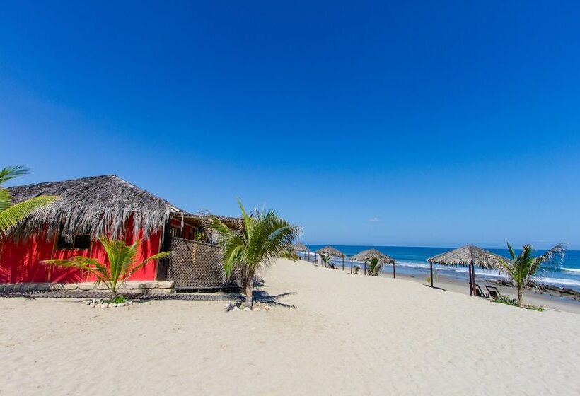 ホテル Hoja De Palma Bungalows