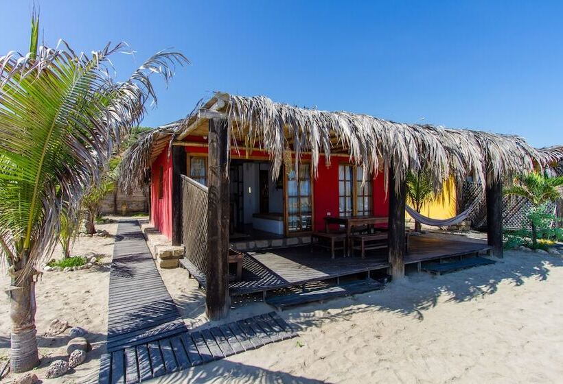 ホテル Hoja De Palma Bungalows