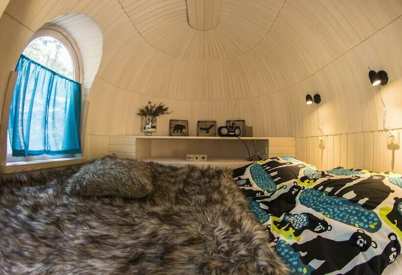 酒店 Igluhut Sleeping With Reindeer