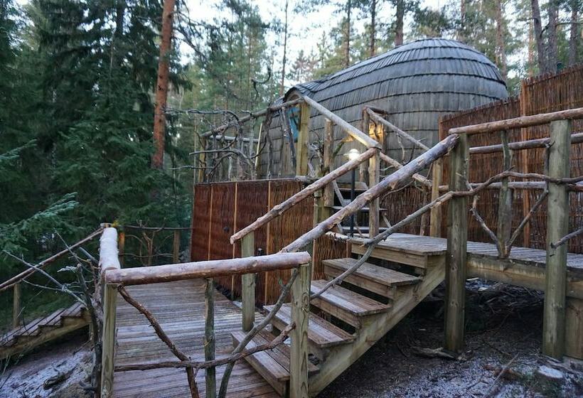 酒店 Igluhut Sleeping With Reindeer