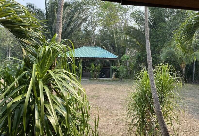 בית מלון כפרי Inn The Bush Jungle Lodge