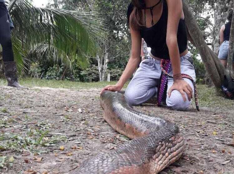 בית מלון כפרי Karupa