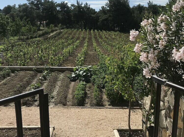 Отель Kekliktepe Bag Evi