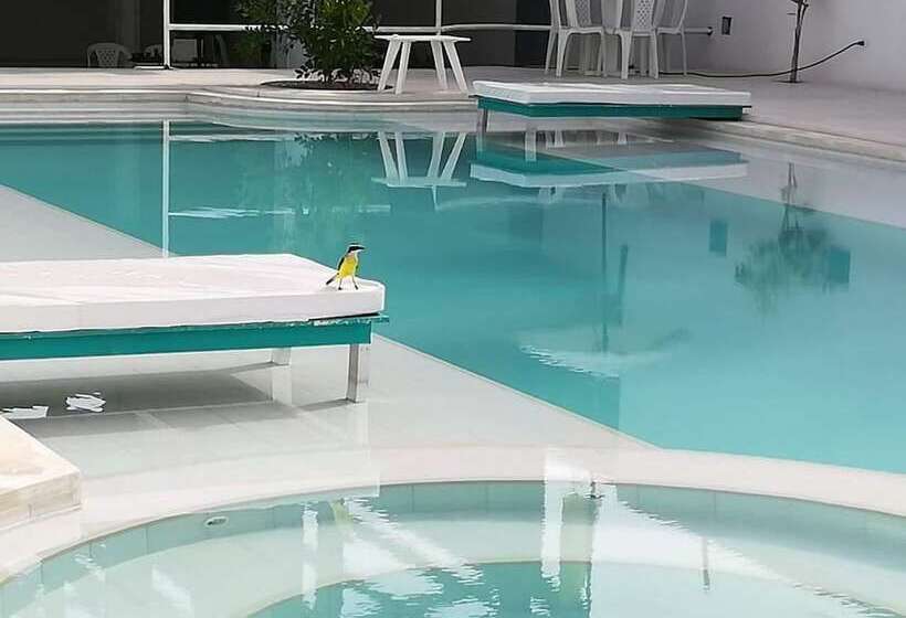 Отель La Puerta del Ángel Isla