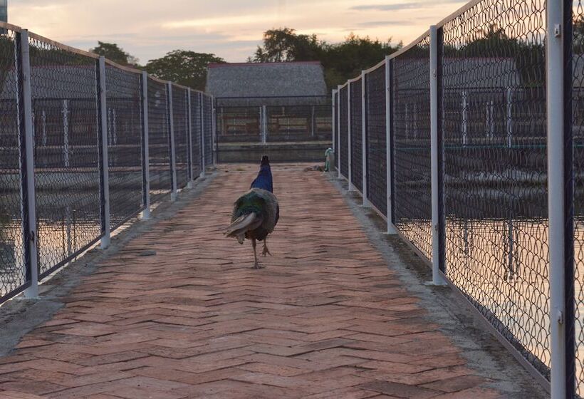 ホテル Lagos Mar Espinal