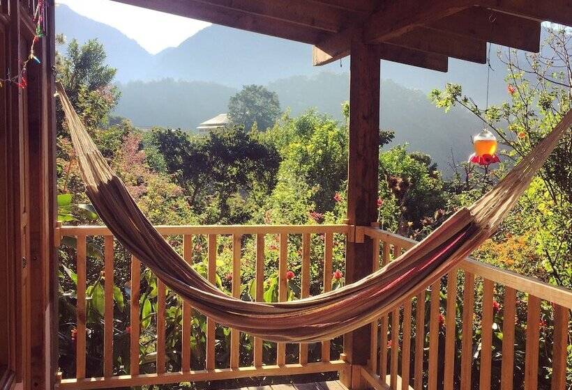 בית מלון כפרי Mount Totumas Cloud Forest