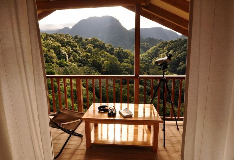 בית מלון כפרי Mount Totumas Cloud Forest