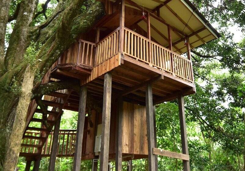 בית מלון כפרי Mount Totumas Cloud Forest