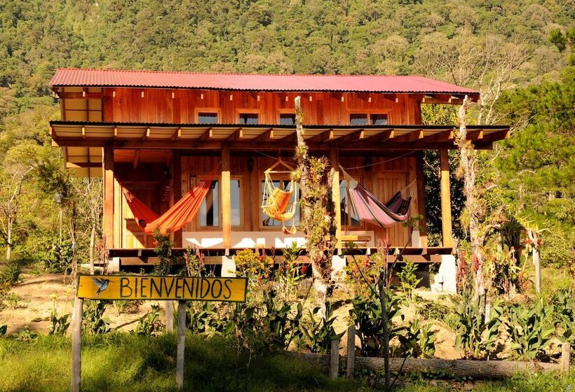 בית מלון כפרי Mount Totumas Cloud Forest