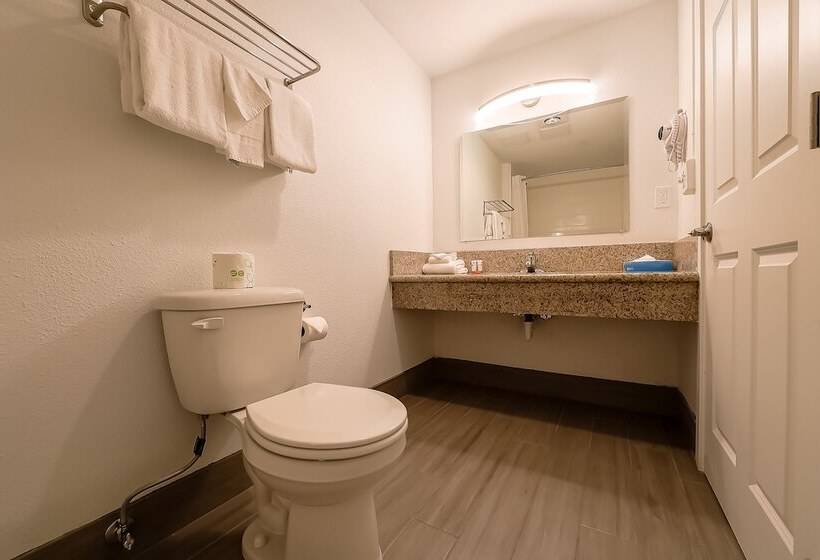 فندق Newport Inn & Suites By Oyo Rooms