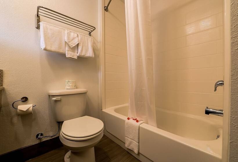 فندق Newport Inn & Suites By Oyo Rooms