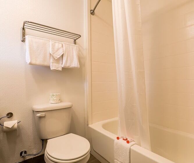 فندق Newport Inn & Suites By Oyo Rooms