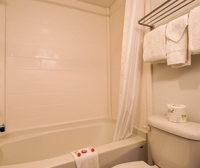 فندق Newport Inn & Suites By Oyo Rooms