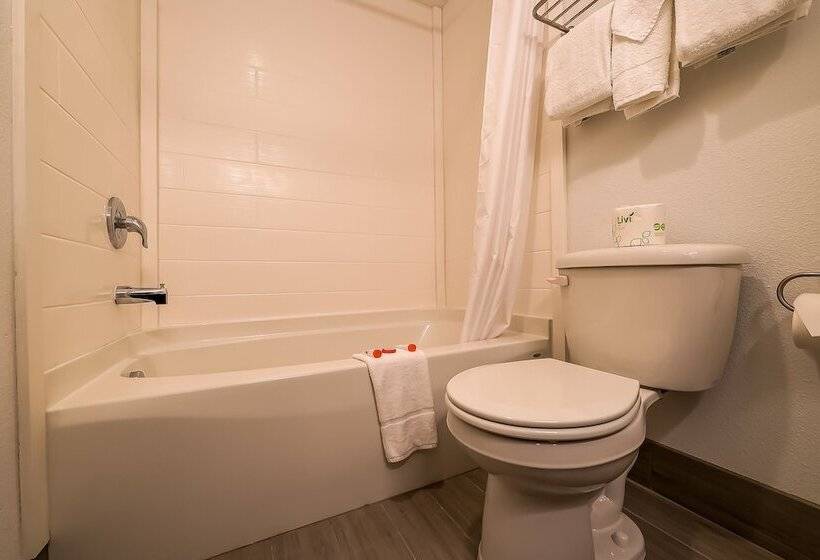 فندق Newport Inn & Suites By Oyo Rooms