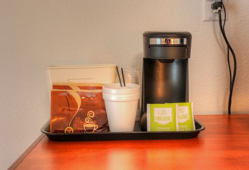 فندق Newport Inn & Suites By Oyo Rooms