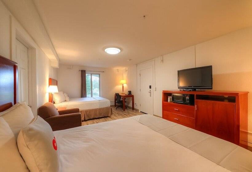 فندق Newport Inn & Suites By Oyo Rooms