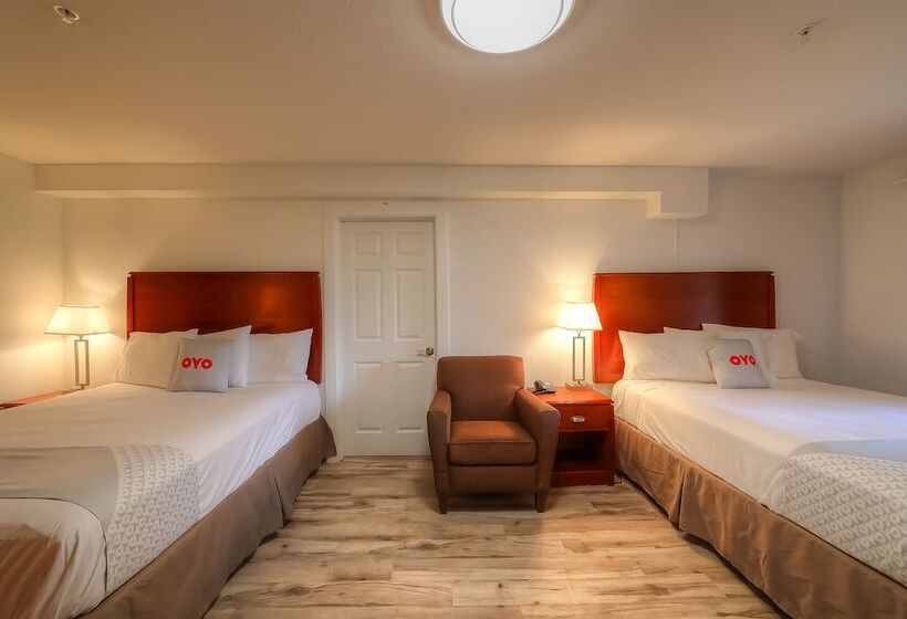 فندق Newport Inn & Suites By Oyo Rooms