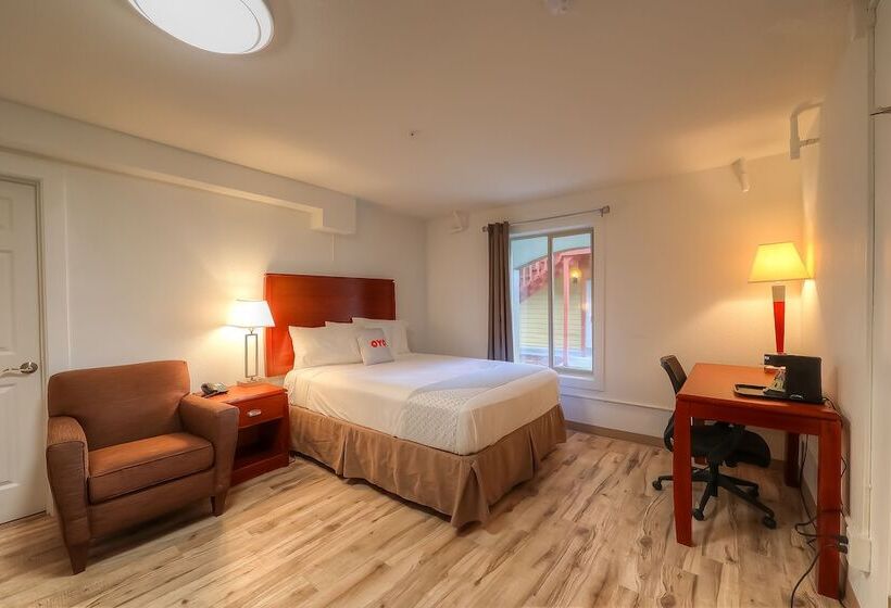 فندق Newport Inn & Suites By Oyo Rooms