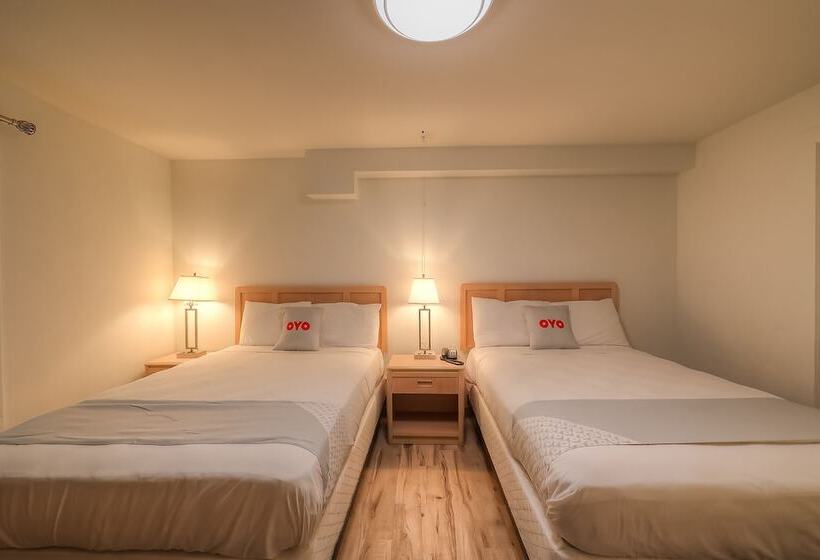 فندق Newport Inn & Suites By Oyo Rooms