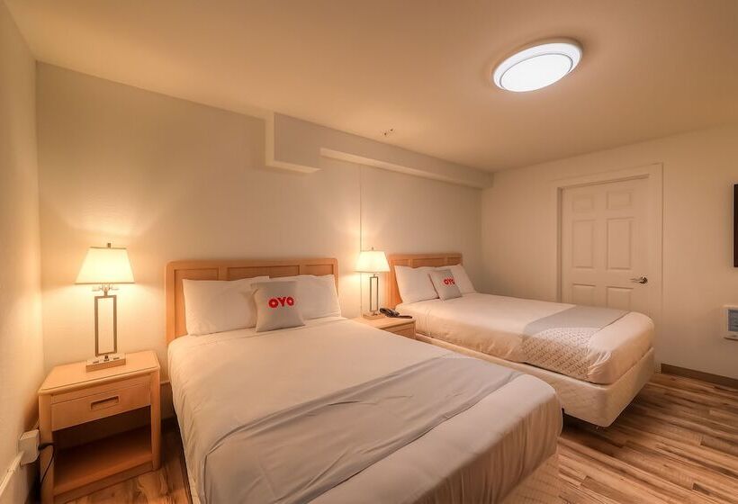 فندق Newport Inn & Suites By Oyo Rooms