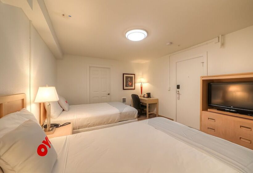 فندق Newport Inn & Suites By Oyo Rooms