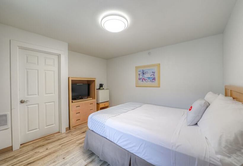 فندق Newport Inn & Suites By Oyo Rooms