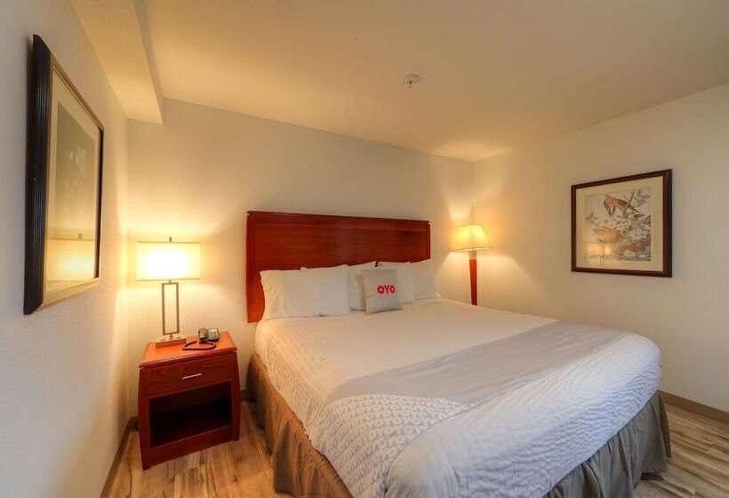 فندق Newport Inn & Suites By Oyo Rooms