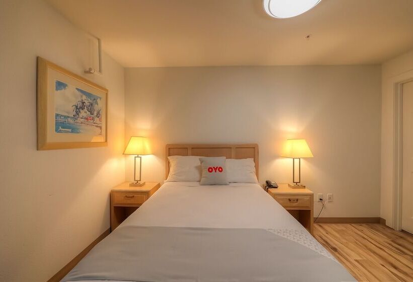 فندق Newport Inn & Suites By Oyo Rooms