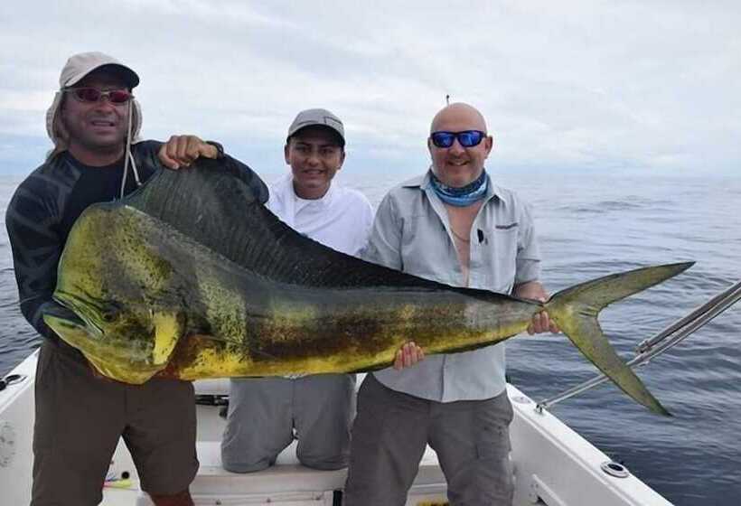 酒店 Pacific Lodge