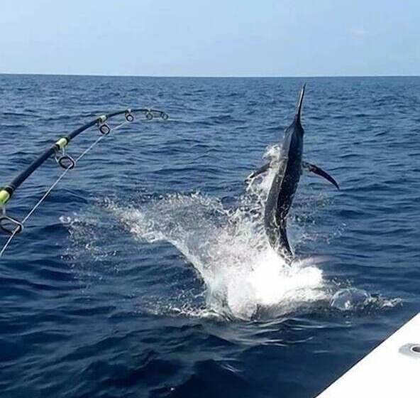 هتل Pacific Lodge