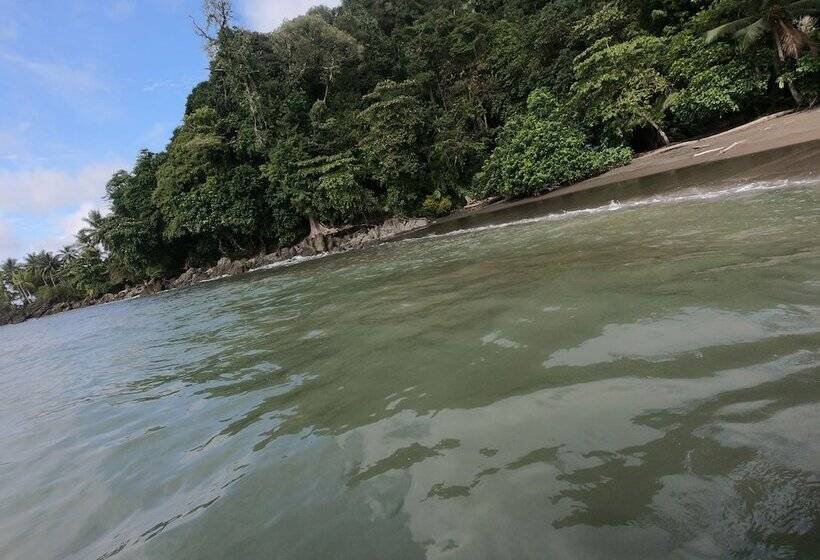 酒店 Pacific Lodge