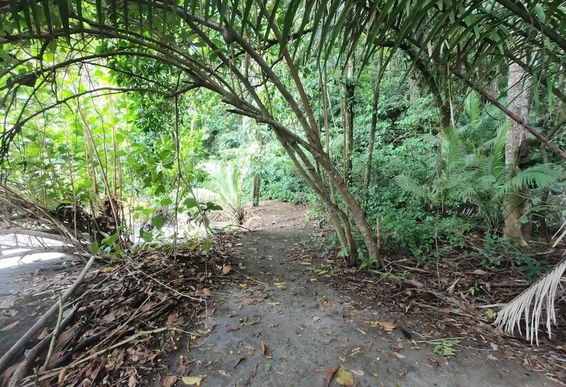 酒店 Pacific Lodge