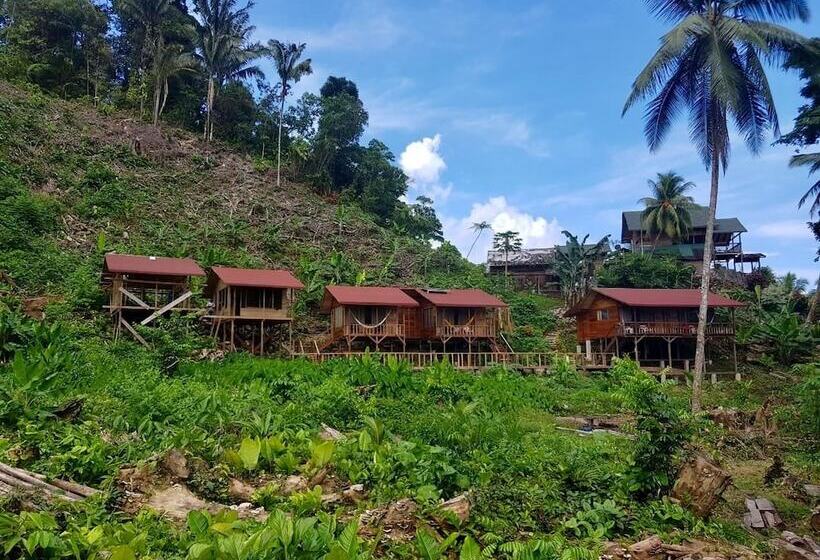 酒店 Pacific Lodge