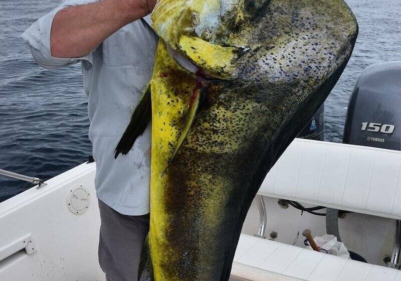 هتل Pacific Lodge