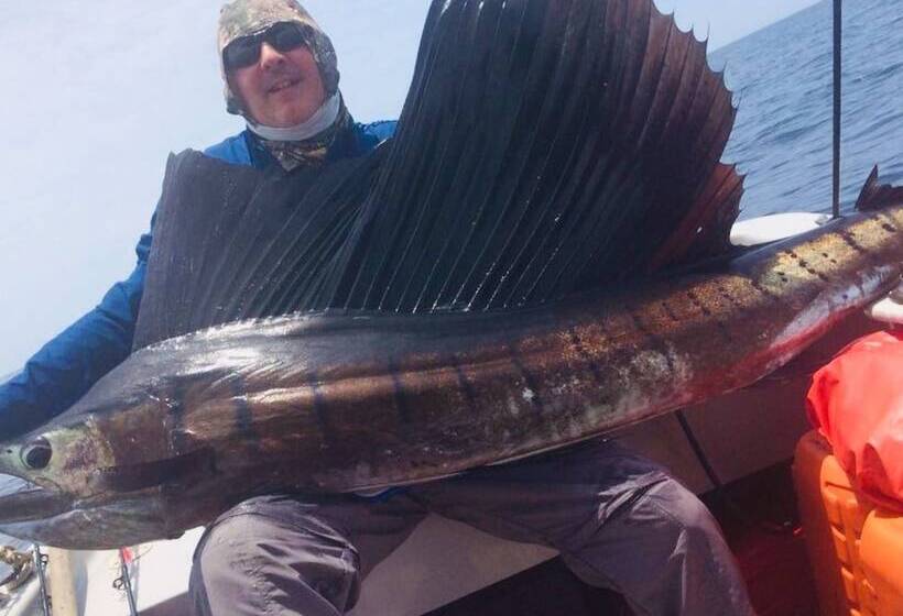 酒店 Pacific Lodge