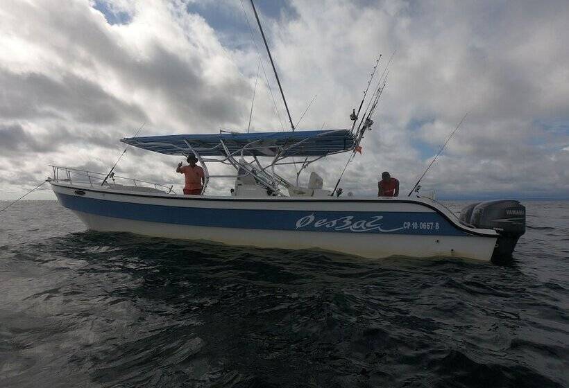 酒店 Pacific Lodge