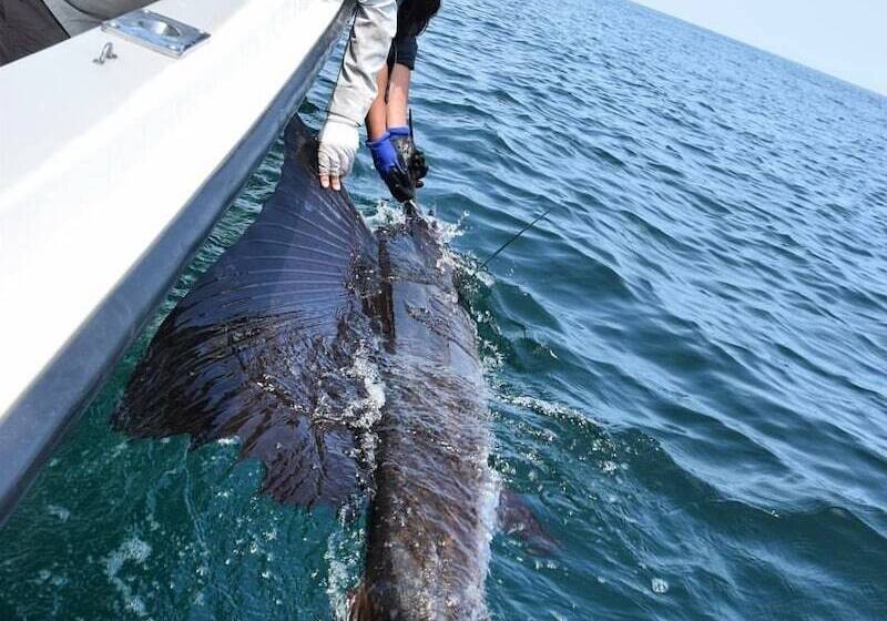 酒店 Pacific Lodge