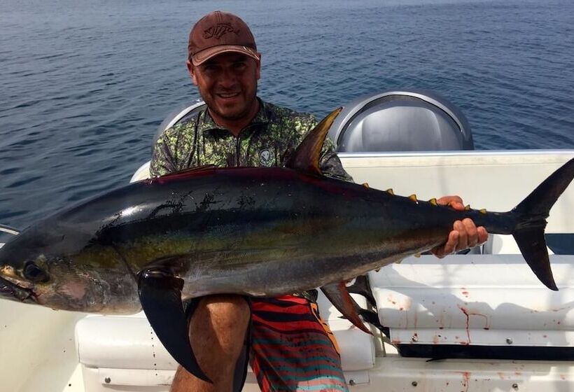 酒店 Pacific Lodge