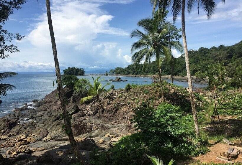 酒店 Pacific Lodge