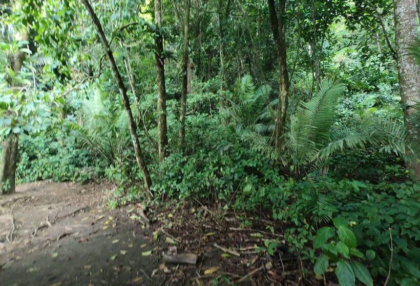 酒店 Pacific Lodge